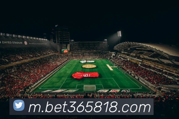 bet365中国官网APP 封面图